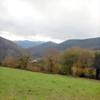 DSCN2975