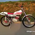 T-Yamaha TY250