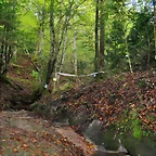 Zones 2013 (10)
