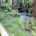 DSCN4757