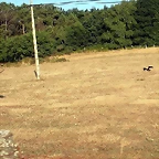 DSCN7210'6