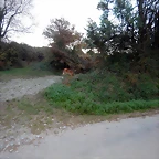 DSCN0647