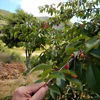 DSCN1546