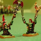 Chamanes Goblins