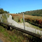DSCN4666