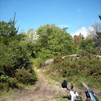 DSCN5333