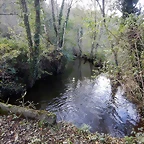 DSCN0524