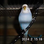 CIMG0059