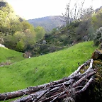 DSCN9089