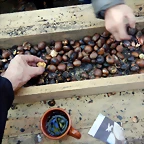 DSCN0176