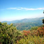 DSCN4861