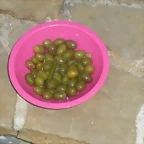 P1010823