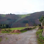 DSCN6266