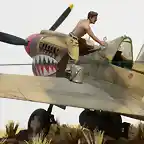 P-40M 007