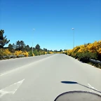 DSCN2296