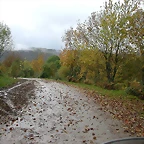 DSCN5896