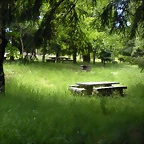 DSCN5357