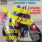 cartel resistencia grande