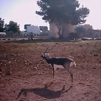 PIC04789