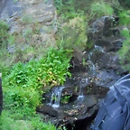 DSCF2703