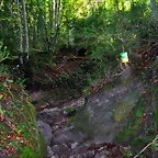 Zones 2013 (15)