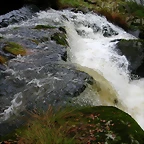 DSCN5771