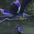avatar4