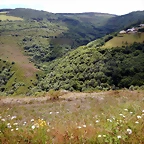 DSCN1398