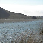 DSCN6456