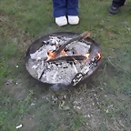 SDC16273