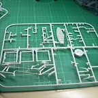 DSCN2289