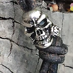 16 Calavera