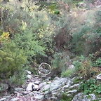 Imagen 081