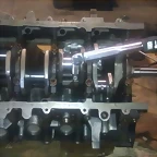 IMAG0017
