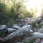 Imagen 080