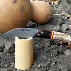 Jarota 11