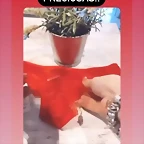 Video Marhaya Guerrer IG Stories 30-12-2020 (7)