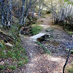 DSCN7971