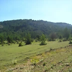 P1010097