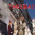 tarima19