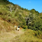 DSCN9044
