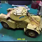 AML-60 019