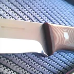 IMAG0151