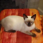 DSC04724