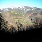 DSCN2965