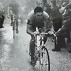 MERCKX 1967,LAVAREDO.