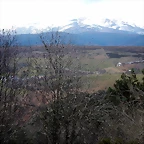 DSCN9529