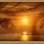 Alcanforero - Doa Barbara - Banner