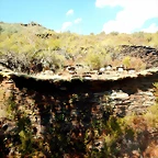 DSCN7826