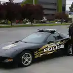 trinidad-pd-corvette